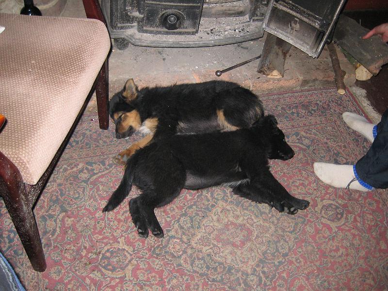 Charlie Spinks 40th 054.jpg